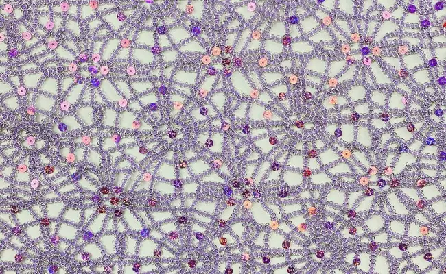 Tissu de dentelle luxueuse à paillettes cordées, bannière 1 Tissu de dentelle luxueuse à paillettes cordées, bannière 1
