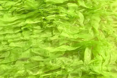 Роскошная зеленая галерея из органзы с оборками 2