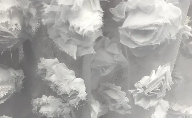 rosetón blanco de gasa tela banner 2