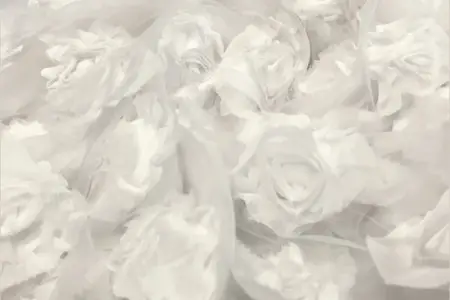 rosetón de gasa blanca tela galería 5