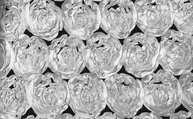 rosetón de raso blanco 1