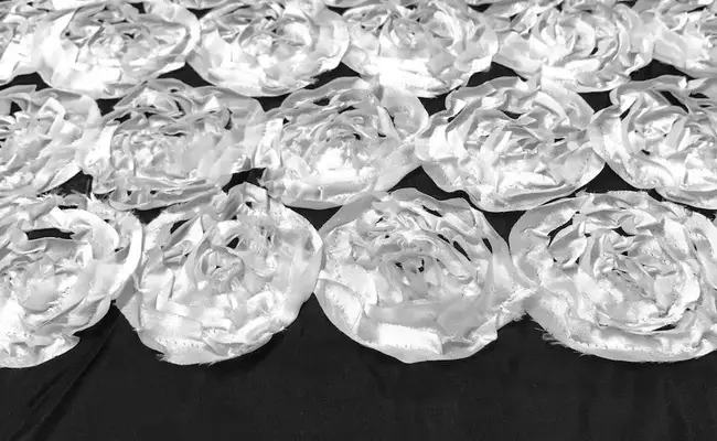 rosetón blanco satinado tela banner 2