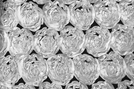 satén blanco rosetón tela galería 4